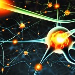 Fighting chronic fatigue with neurotransmitters and hormones