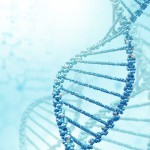 Epigenetics: a new link between nutrition and cancer