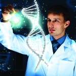 Protection from UV rays provided by circadian rhythms in skin stem cells