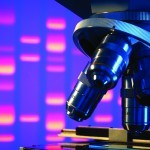 Artificial skin grown using stem cells from the umbilical cord
