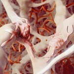 Tissue in a syringe: the new kid on the block