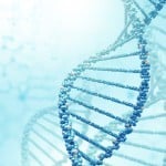 Newly identified genes linked to keloid scars