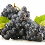 The fight against skin ageing: A review of diet and nutraceutical interventions part II