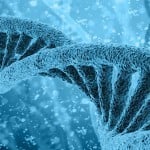 Scientists discover key driver of human ageing