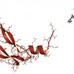 Growth Factors in Anti-Ageing, Regenerative, and Aesthetic Medicine