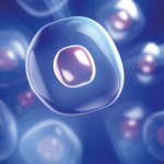 Stem Cells in Aesthetic Medicine – Clinical Applications and Methods