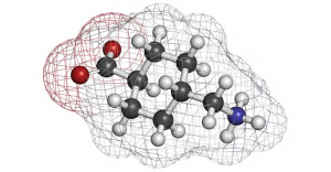 Tranexamic Acid Versus Hydroquinone as a Whitening Agent