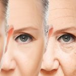 The theories of ageing