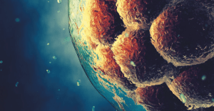 Facial Sculpting With Stem Cells